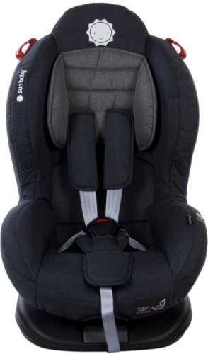 fotele samochodowe 9-25 kg szary.jpg