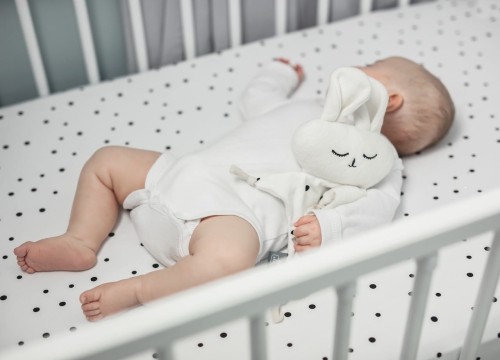 Sleepuś - pierwsza przytulanka DouDou Sleepee 4.jpg