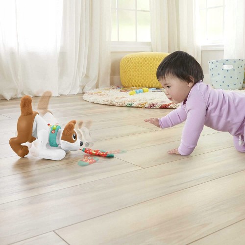 FISHER-PRICE-EDUKACYJNY-PIESEK-raczkowanie-Marka-Fisher-Price.jpg