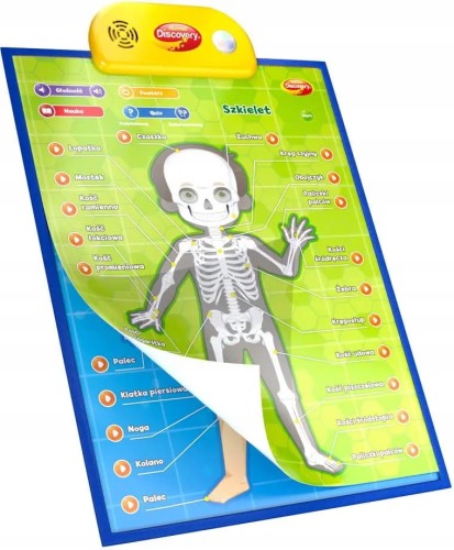 Dumel-Edukacyjne-Plakaty-Czlowiek-Anatomia-62395-Wysokosc-produktu-57-cm.jpg