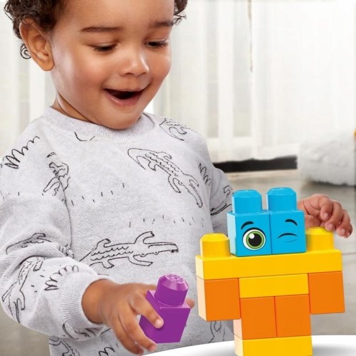 MATTEL-MEGA-BLOKS-DUZA-TORBA-150-KLOCKOW-HHM96-Rodzaj-zestaw.jpg