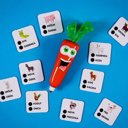 2265925.jpg