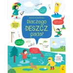 Książka Co i jak? Dlaczego deszcz pada? Marta Krzemińska Wilga