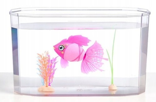 Plywajaca-rybka-z-akwarium-Little-Live-Pets-mozna-ja-karmic-Typ-zestaw.jpg