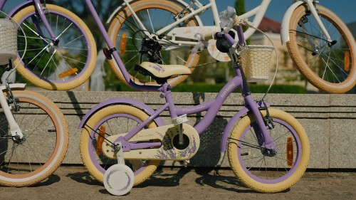 2024_Flower_bike_HD.00_01_27_23.Still004.jpg