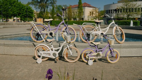 2024_Flower_bike_HD.00_00_22_34.Still001.jpg