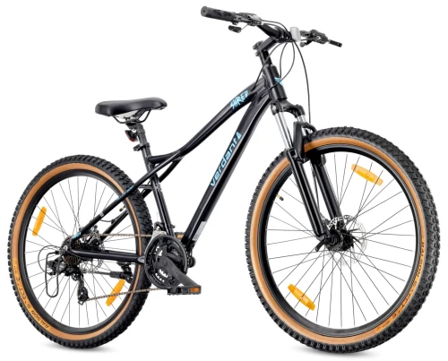 D03.03.09.4.2.2 (2) (Large).jpg