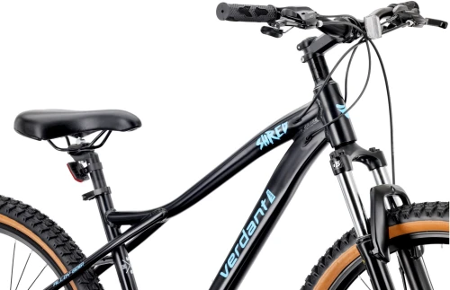 D03.03.09.4.2.2 (4) (Large).jpg